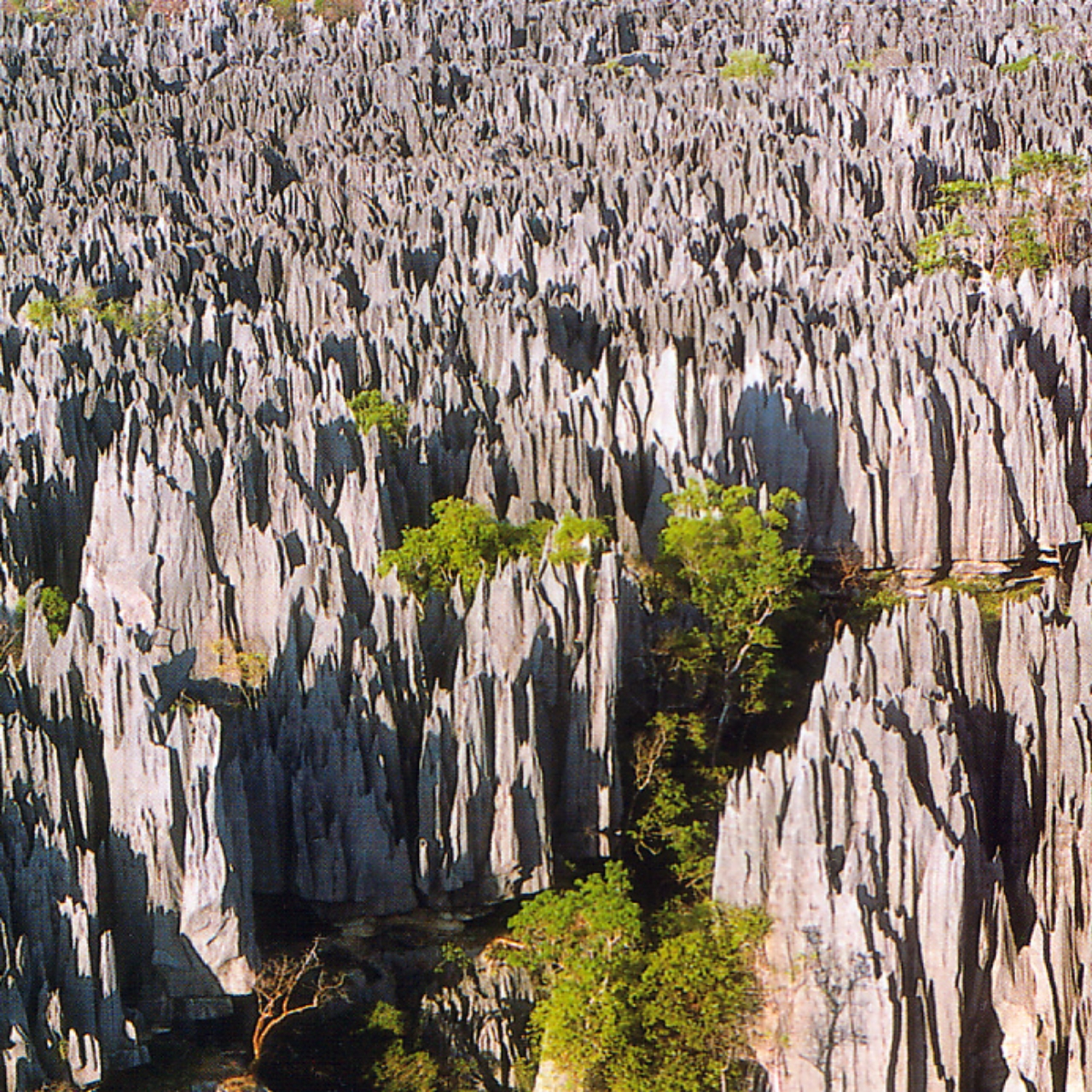 morondava